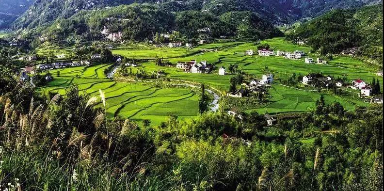 農(nóng)旅康養(yǎng)旅游項(xiàng)目，策劃才是靈魂！